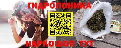скорость Бийск